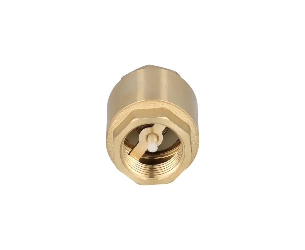  VALV CHECK RESORTE DICA DE 1/2 4045N.13