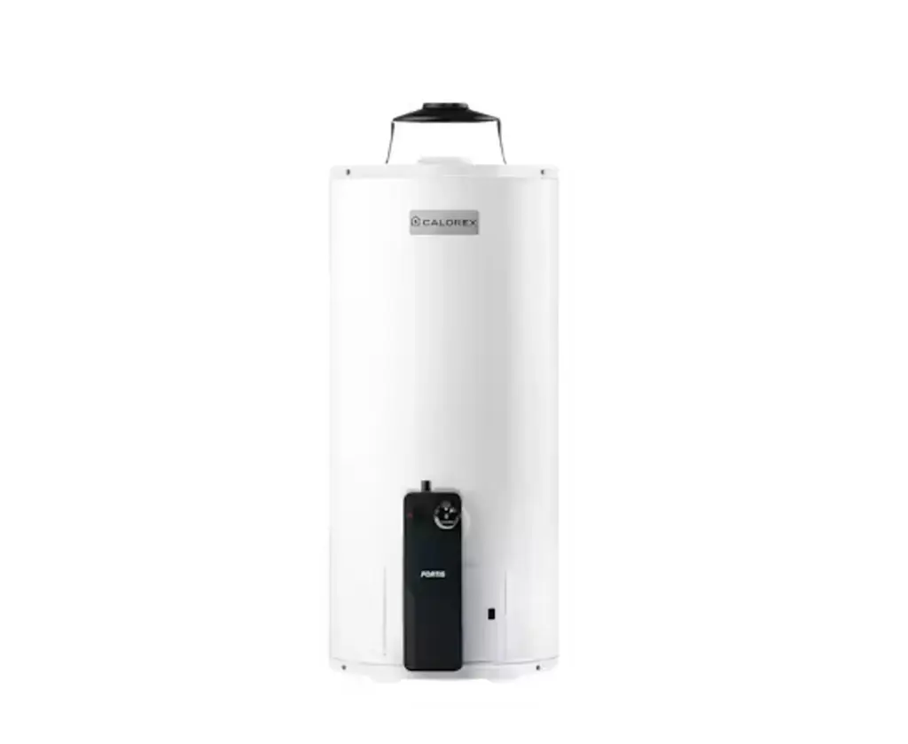  BOILER FORTIS G15 LP 15 GAL (59 LTS)