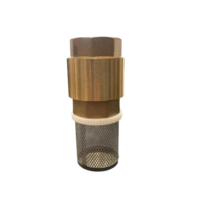  PICHANCHA AQ DE 1 (PIE/CHE1")