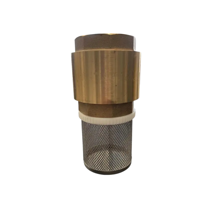  PICHANCHA AQ DE 1 1/2 (PIE/CHE1 1/2")