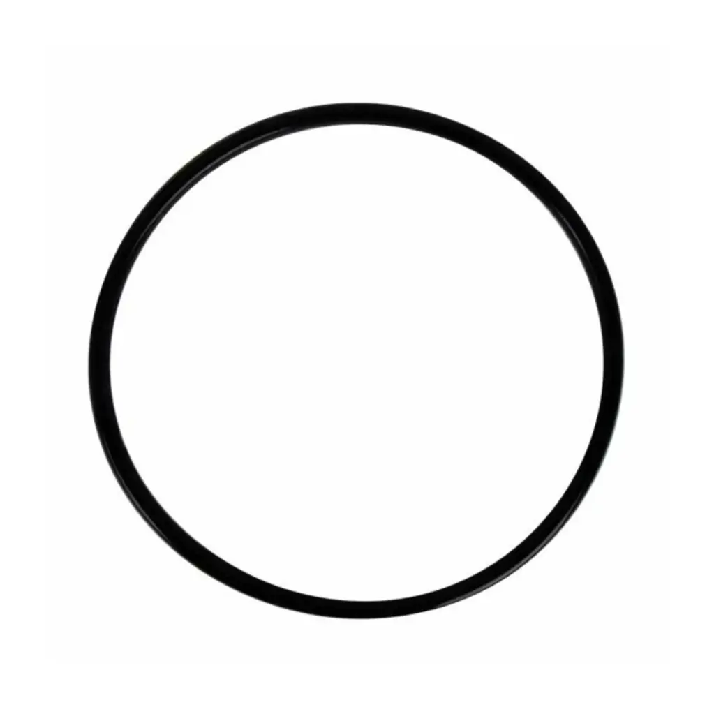  EMPAQUE PORTAFILTRO BIG BLUE (R-PK-ORINGPFBB)